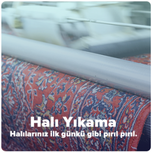 Halı Yıkama